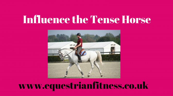 Influence the Tense Horse