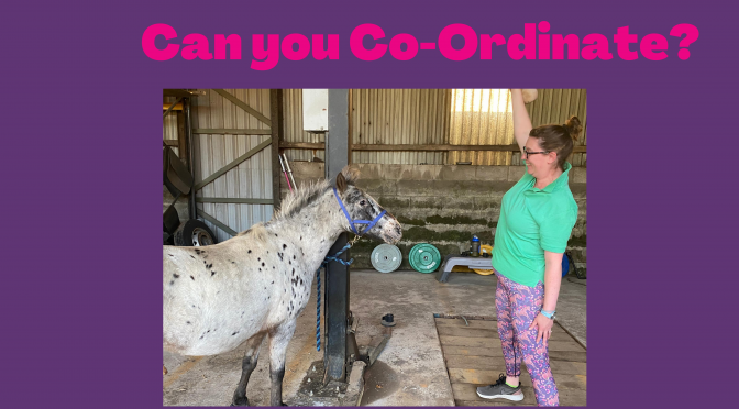Can you Co-ordinate?